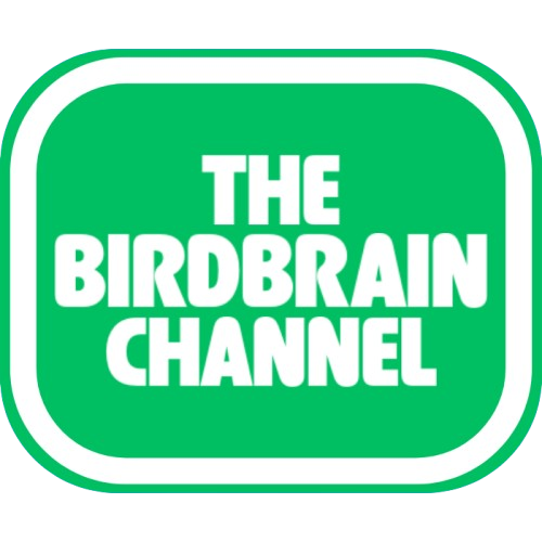 Channel 1