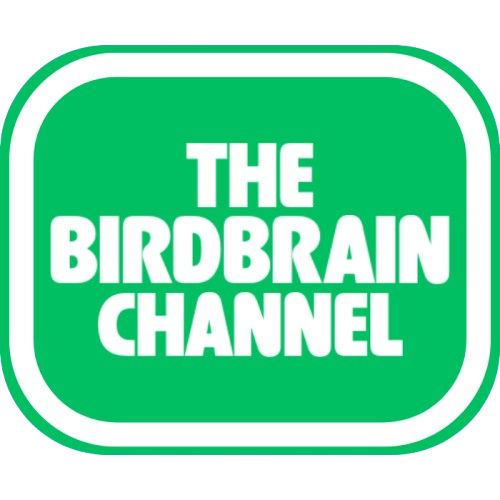 Channel 2